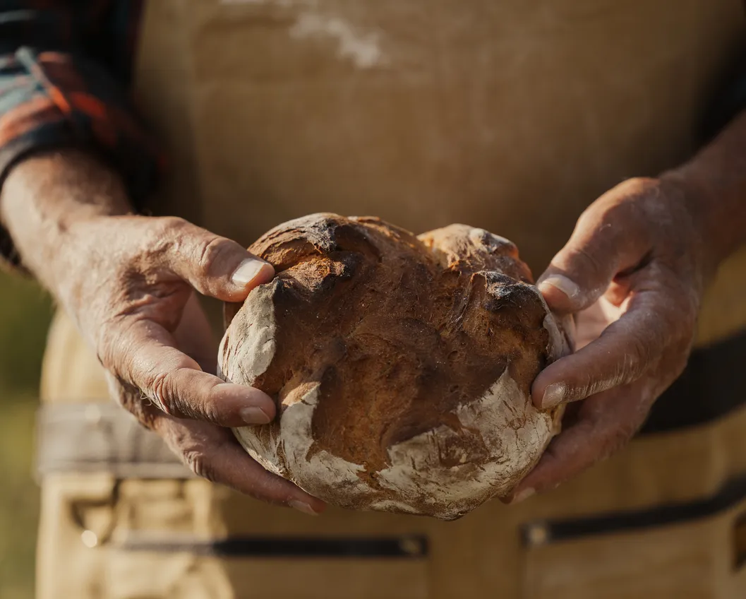 Rough hands holding a home-baked farmhouse loaf at a Tyrolean alpine farm