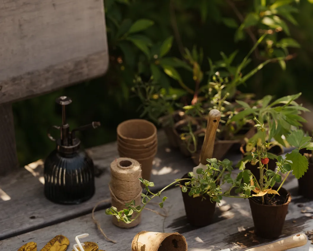 Rustic garden workbench with gloves, tools, pots and young plants at LaPosch resort
