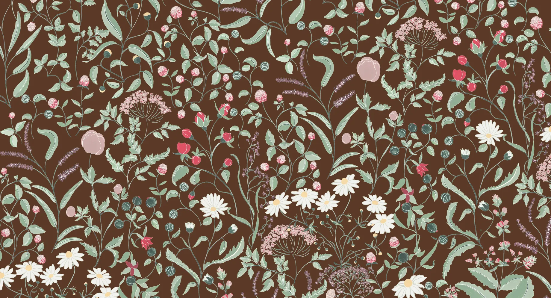 Botanisches Kräuter-Blumenmuster auf dunkelbraunem Hintergrund mit Gänseblümchen und Früchten