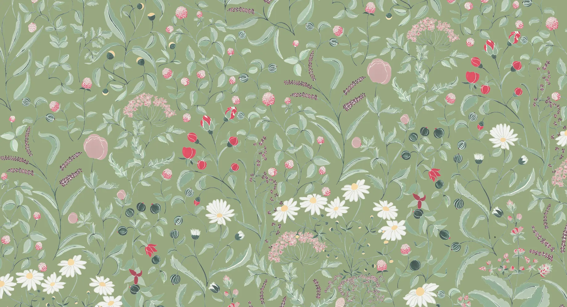 Botanisches Floralmuster mit Gänseblümchen und Beeren auf salbeigrünem Hintergrund