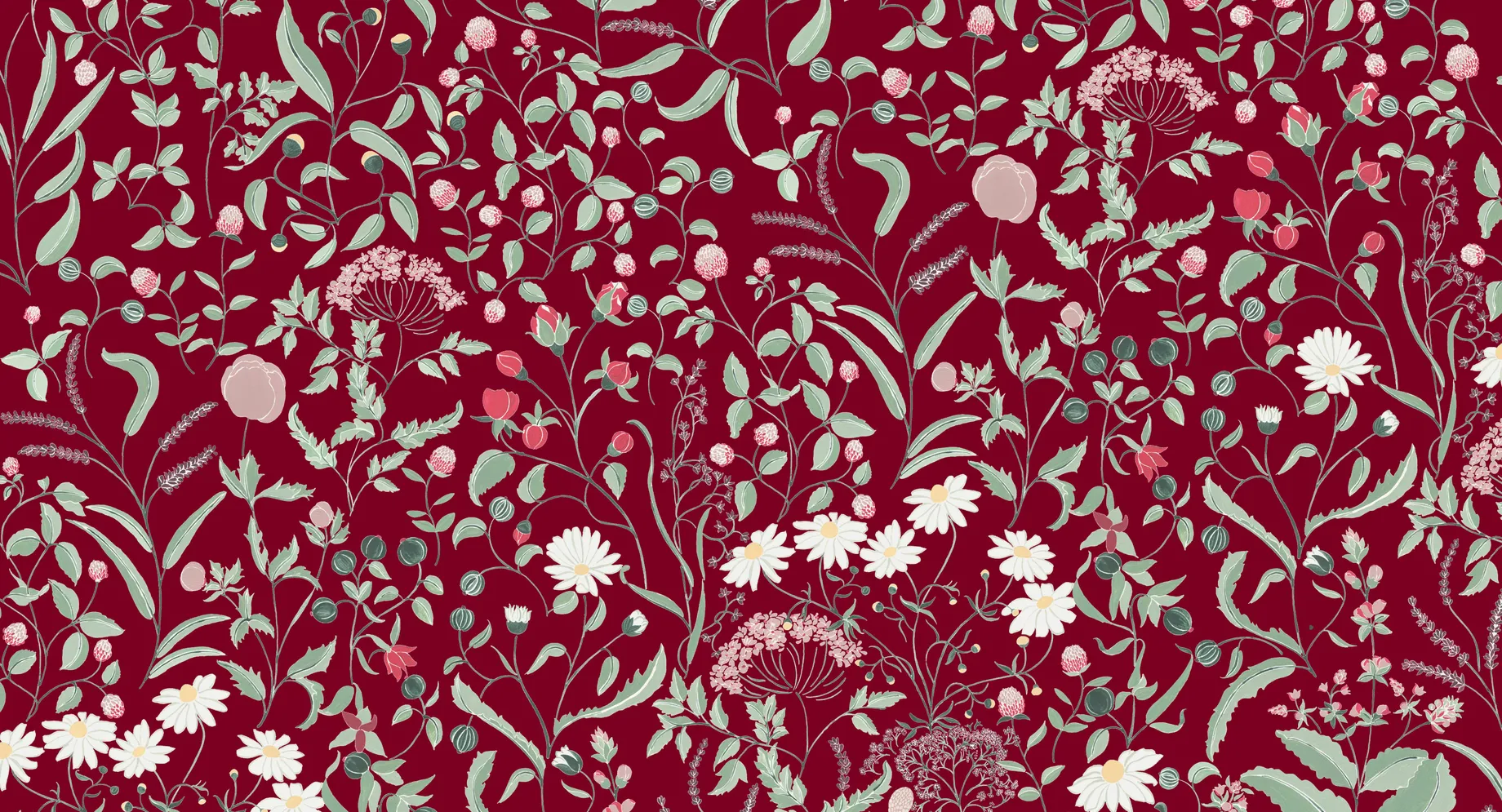 Botanisches Floralmuster mit Gänseblümchen, Beeren und Kräutern auf burgunderrotem Hintergrund