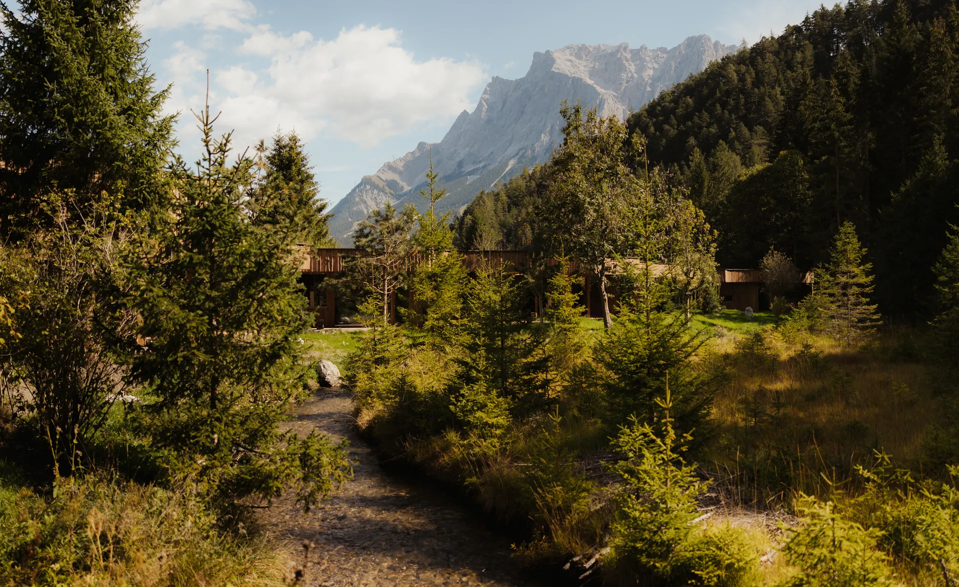 Blick durch die Natur auf die Waldbachlogen