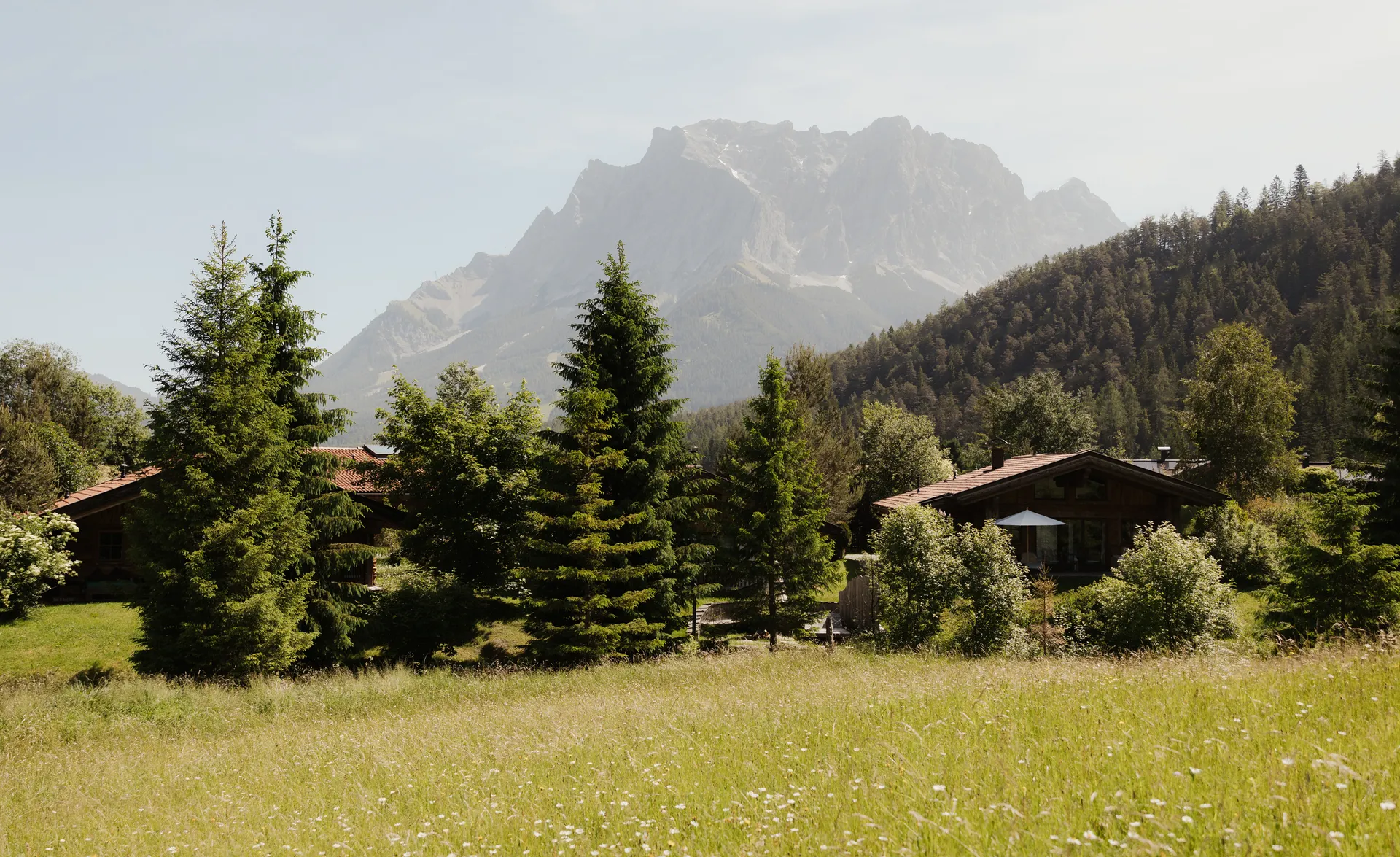 Sommerliche Alpenwiese mit Wildblumen, Chaletdächern und Zugspitze-Massiv