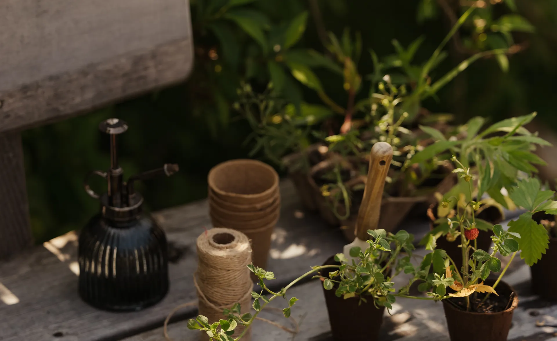 Rustic garden workbench with gloves, tools, pots and young plants at LaPosch resort