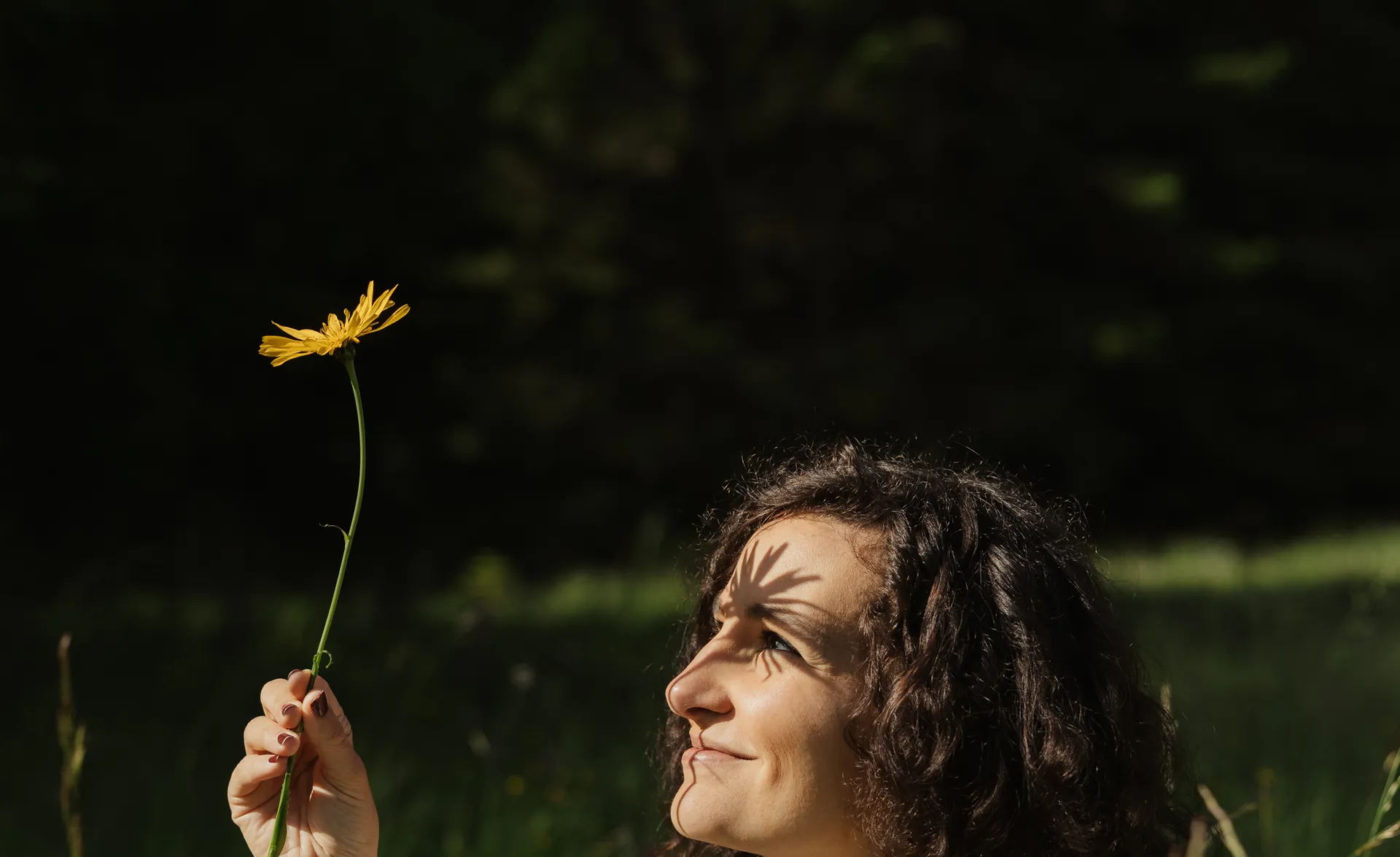 Lächelnde Frau im Sommerkleid hält gelbe Wiesenblume in die Almenwiese