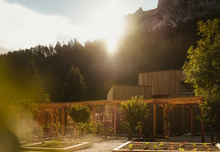 Blick auf die Beete im Sonnenlicht