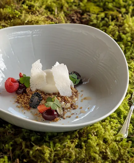 Gourmet-Dessertteller des Das Walters mit Eisbällchen, Beeren, Crumble und Waffel