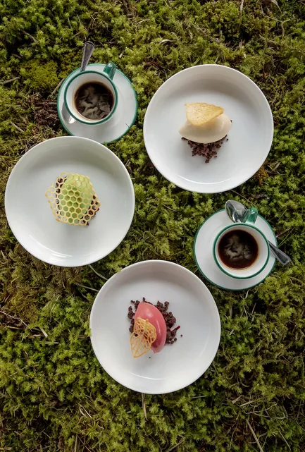 Kaffee und drei kleine Dessertteller des Das Walters auf Moos-Arrangement