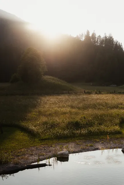 Goldenes Abendlicht über Alpenwiese mit Wald, Teich und Bergspiegelung