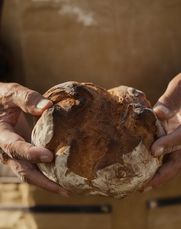 Rough hands holding a home-baked farmhouse loaf at a Tyrolean alpine farm