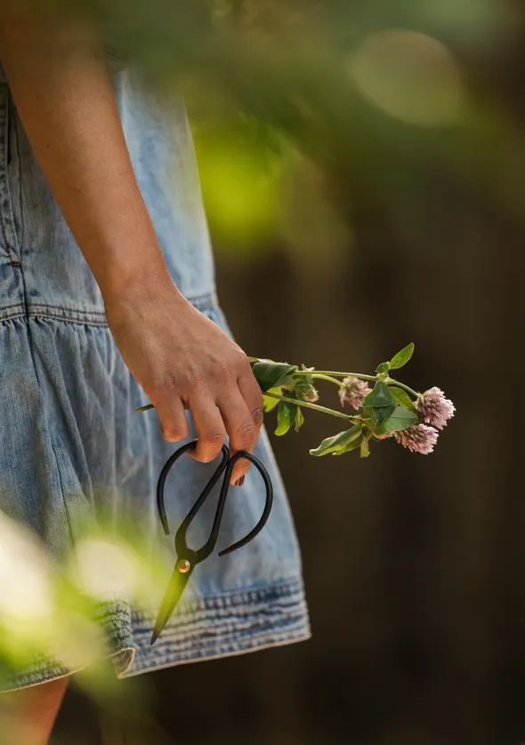 Frau mit Gartenschere trägt frisch geschnittene Kleeblüten durch Garten in Tirol