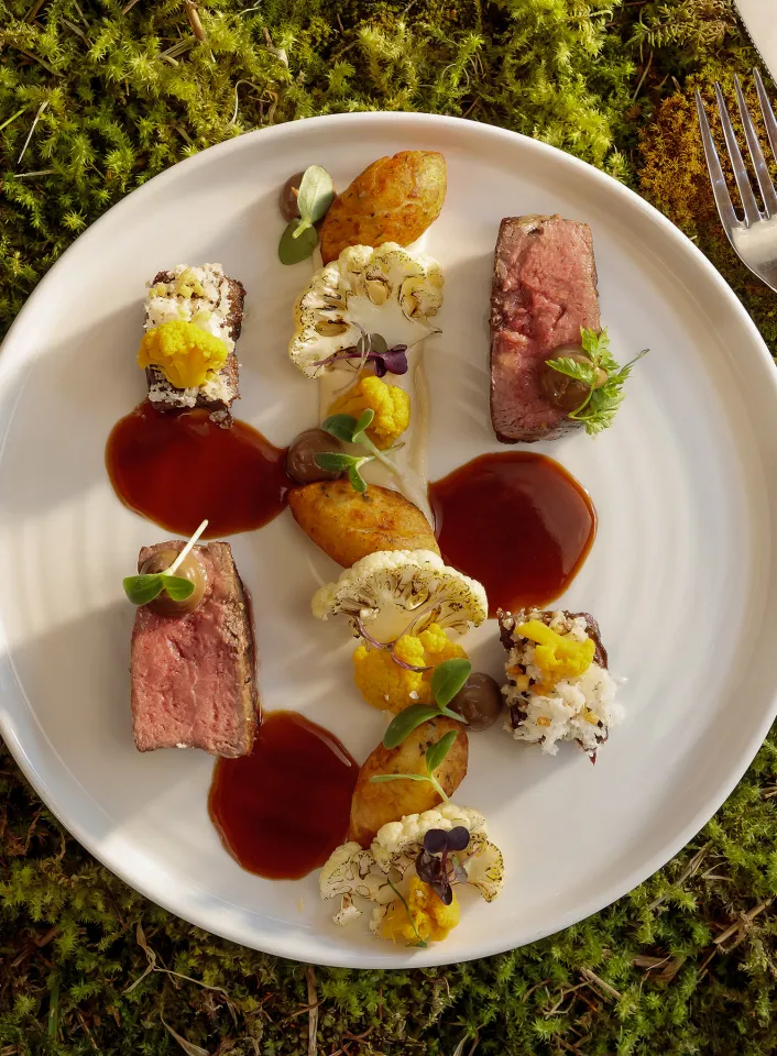 Feine Fleischvorspeise des Das Walters auf Moosuntergrund mit Karfiol und roter Sauce
