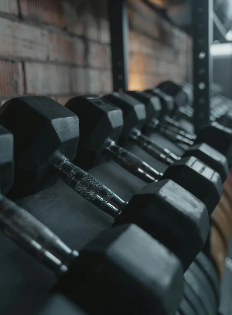 Schwarze Sechskant-Hanteln auf Rack für das Fitness-Angebot im LaPosch Resort